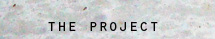 the project