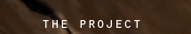 the project