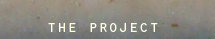the project
