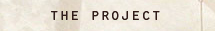 the project