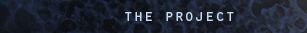 The Project