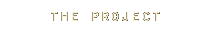 the project