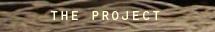 the project