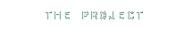 the project
